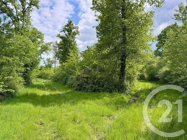 Maison à vendre - 15 pièces - 235 m2 - 41 - CENTRE