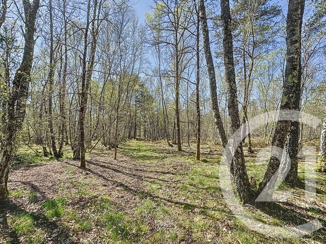 Maison à vendre - 6 pièces - 204,30 m2 - Nancay - 18 - CENTRE