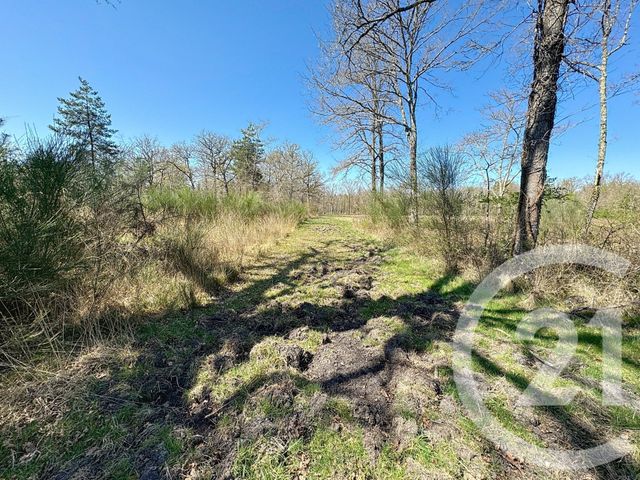 Maison à vendre - 6 pièces - 204,30 m2 - Nancay - 18 - CENTRE