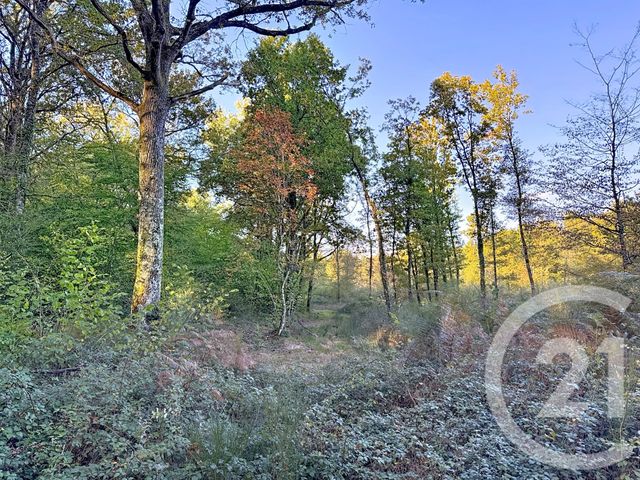 Afficher la photo en grand Maison à vendre - 24 pièces - 869,70 m2 - 18 - CENTRE