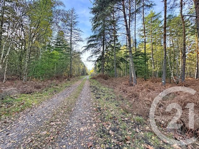 Maison à vendre - 13 pièces - 289 m2 - Lamotte Beuvron - 41 - CENTRE