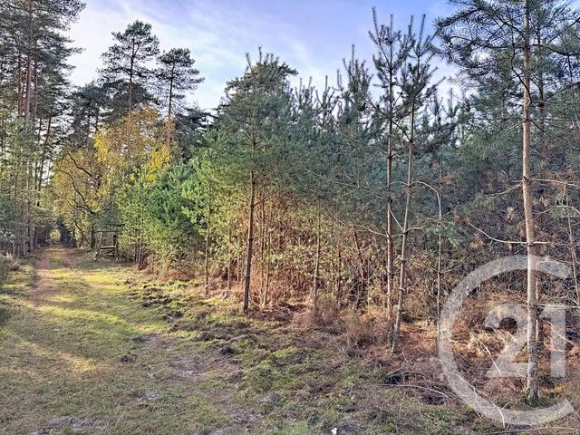 Maison à vendre - 13 pièces - 289 m2 - Lamotte Beuvron - 41 - CENTRE