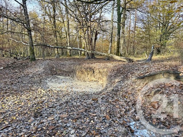 Maison à vendre - 13 pièces - 289 m2 - Lamotte Beuvron - 41 - CENTRE