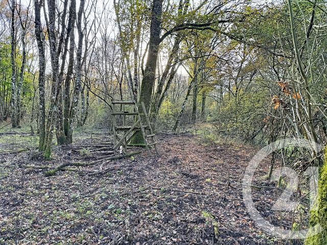 Maison à vendre - 13 pièces - 289 m2 - Lamotte Beuvron - 41 - CENTRE