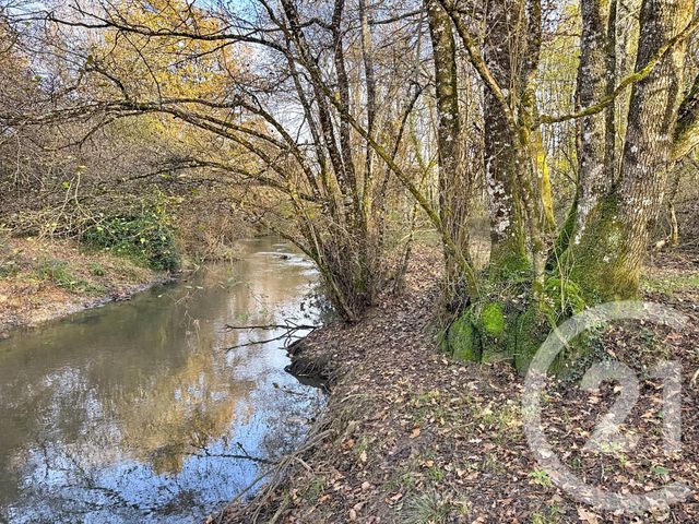 Maison à vendre - 13 pièces - 289 m2 - Lamotte Beuvron - 41 - CENTRE