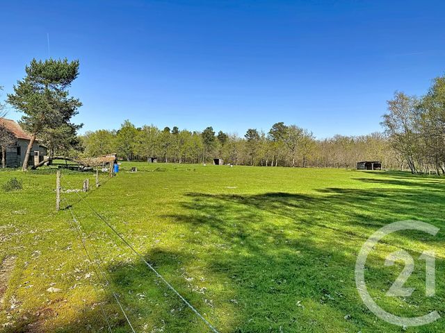 Maison &agrave; vendre - 9 pi&egrave;ces - 162,60 m2 - Vouzon - 41 - CENTRE