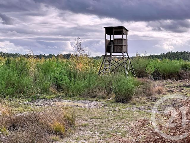 Maison à vendre - 10 pièces - 500 m2 - Souesmes - 41 - CENTRE