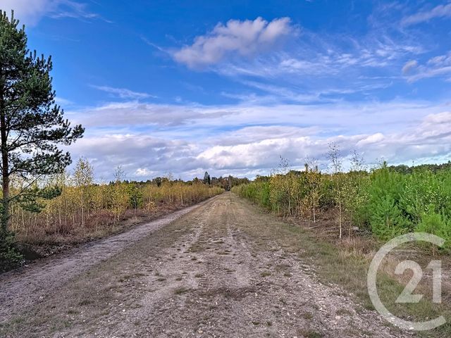 Maison à vendre - 10 pièces - 500 m2 - Souesmes - 41 - CENTRE