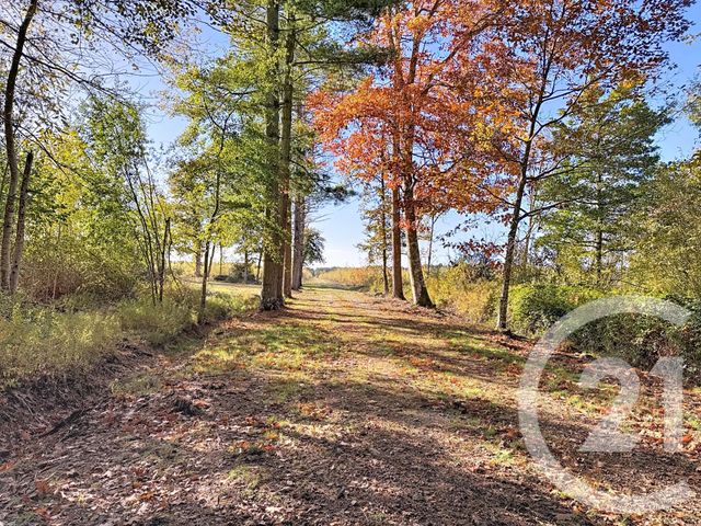 Maison à vendre - 10 pièces - 500 m2 - Souesmes - 41 - CENTRE