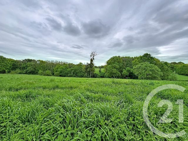 Maison &agrave; vendre - 3 pi&egrave;ces - 75,10 m2 - Chatres Sur Cher - 41 - CENTRE
