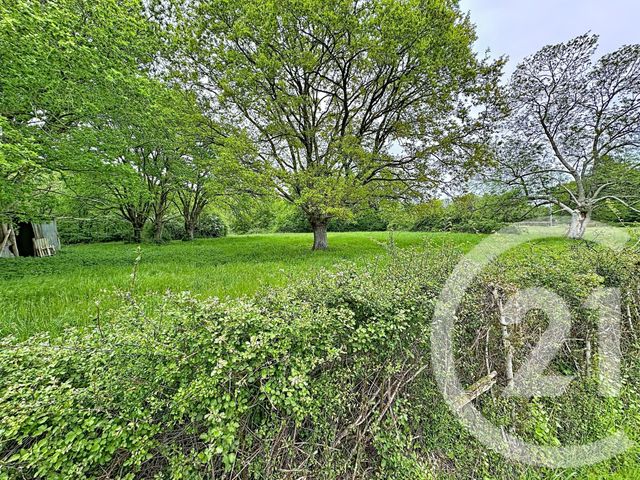 Maison &agrave; vendre - 3 pi&egrave;ces - 75,10 m2 - Chatres Sur Cher - 41 - CENTRE