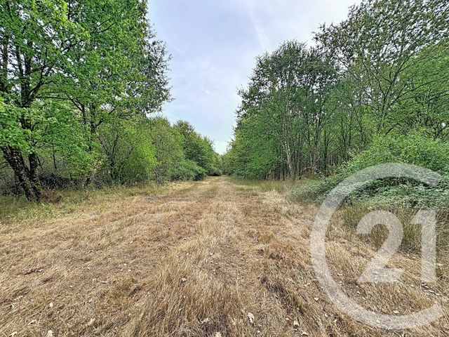 Maison &agrave; vendre - 3 pi&egrave;ces - 116,51 m2 - Marcilly En Gault - 41 - CENTRE