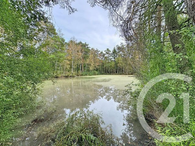 Maison &agrave; vendre - 3 pi&egrave;ces - 116,51 m2 - Marcilly En Gault - 41 - CENTRE