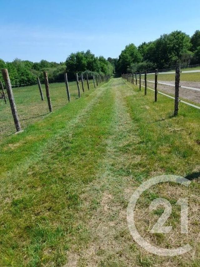 Maison &agrave; vendre - 3 pi&egrave;ces - 116,51 m2 - Marcilly En Gault - 41 - CENTRE