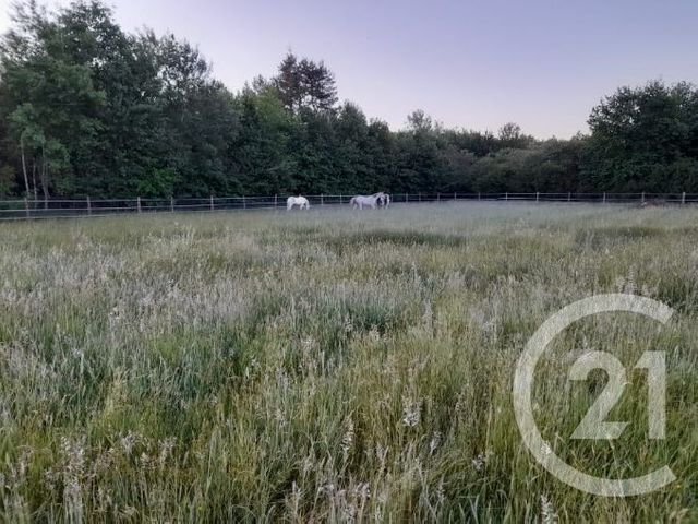 Maison &agrave; vendre - 3 pi&egrave;ces - 116,51 m2 - Marcilly En Gault - 41 - CENTRE