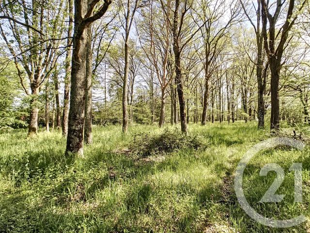 Maison à vendre - 5 pièces - 107,83 m2 - ST VIATRE - 41 - CENTRE Maison à vendre - 5 pièces - 107,83 m2 - ST VIATRE - 41 - CENTRE