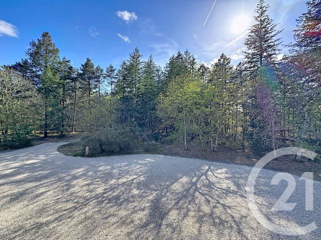 Maison &agrave; vendre - 4 pi&egrave;ces - 110 m2 - Lamotte Beuvron - 41 - CENTRE