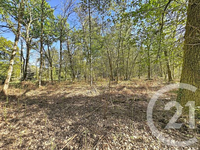 Maison &agrave; vendre - 4 pi&egrave;ces - 110 m2 - Lamotte Beuvron - 41 - CENTRE