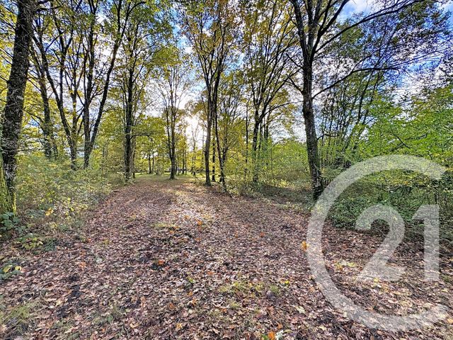 Maison à vendre - 10 pièces - 251,50 m2 - Nouan Le Fuzelier - 41 - CENTRE