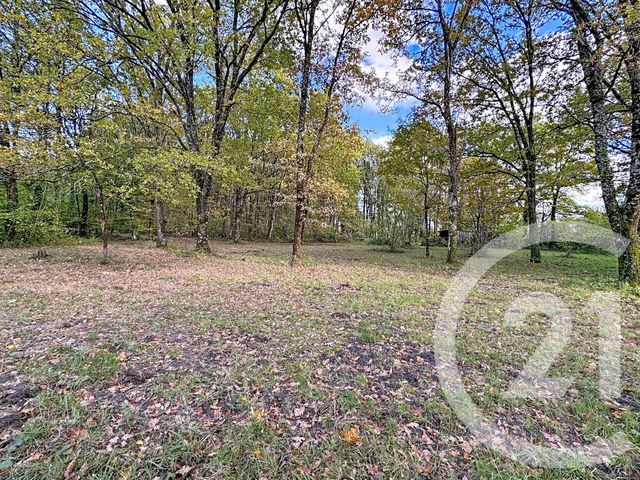 Maison à vendre - 10 pièces - 251,50 m2 - Nouan Le Fuzelier - 41 - CENTRE