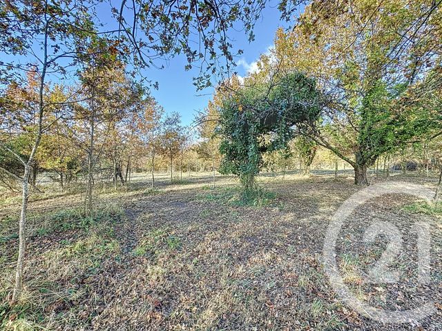 Terrain &agrave; vendre - 7048 m2 - Montrieux En Sologne - 41 - CENTRE