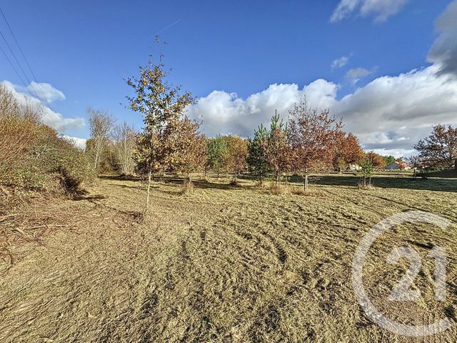 Terrain &agrave; vendre - 7048 m2 - Montrieux En Sologne - 41 - CENTRE