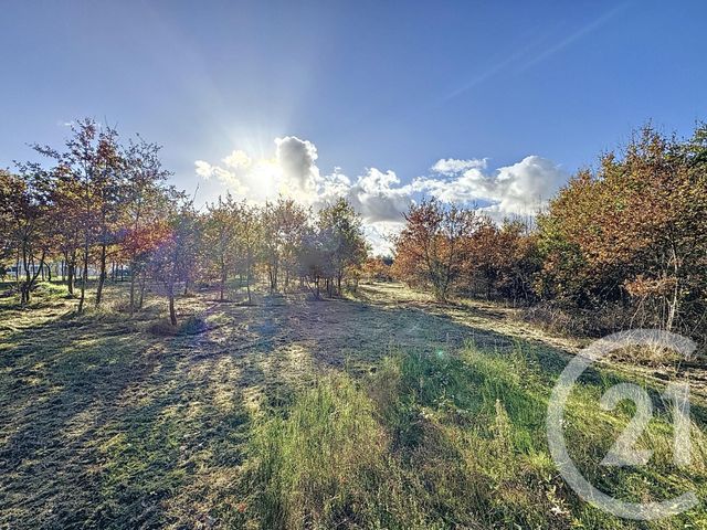 Terrain à vendre MONTRIEUX EN SOLOGNE