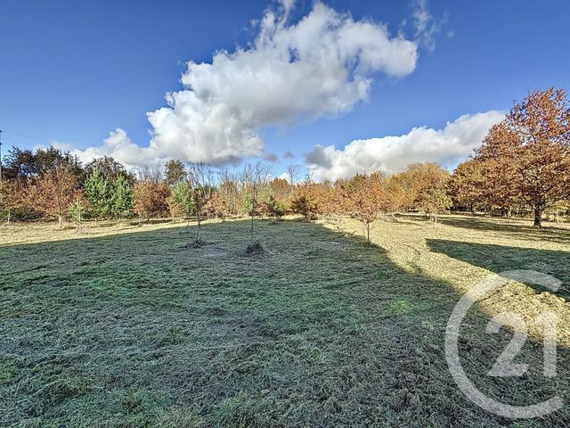 Terrain &agrave; vendre - 7048 m2 - Montrieux En Sologne - 41 - CENTRE