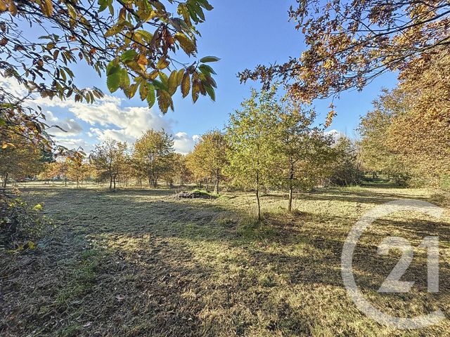 Terrain &agrave; vendre - 7048 m2 - Montrieux En Sologne - 41 - CENTRE