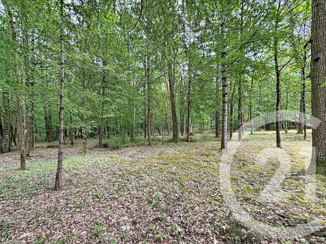 Maison &agrave; vendre - 6 pi&egrave;ces - 123,80 m2 - Lamotte Beuvron - 41 - CENTRE