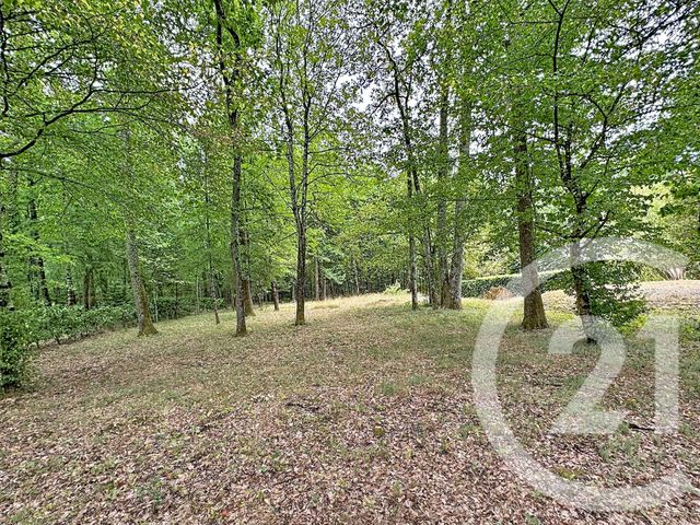 Maison &agrave; vendre - 6 pi&egrave;ces - 123,80 m2 - Lamotte Beuvron - 41 - CENTRE