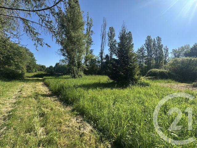 Terrain &agrave; vendre - 35560 m2 - Clemont - 18 - CENTRE