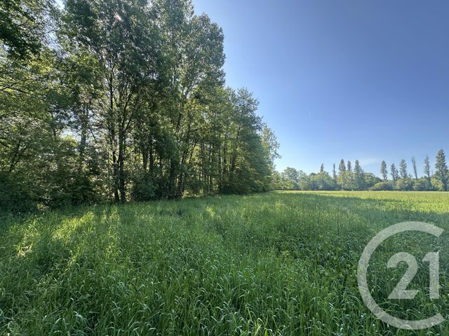Terrain &agrave; vendre - 35560 m2 - Clemont - 18 - CENTRE