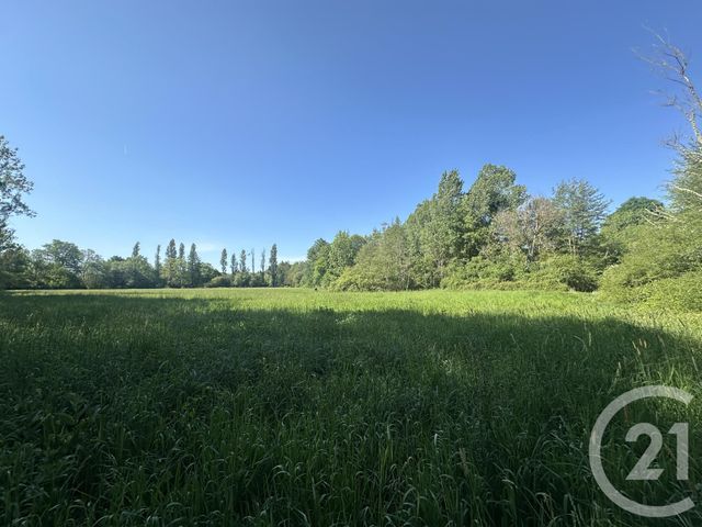 Terrain &agrave; vendre - 35560 m2 - Clemont - 18 - CENTRE