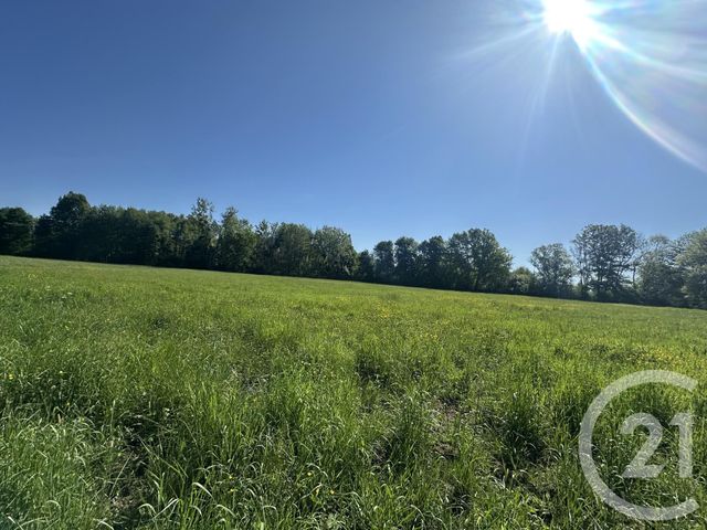 Terrain &agrave; vendre - 35560 m2 - Clemont - 18 - CENTRE