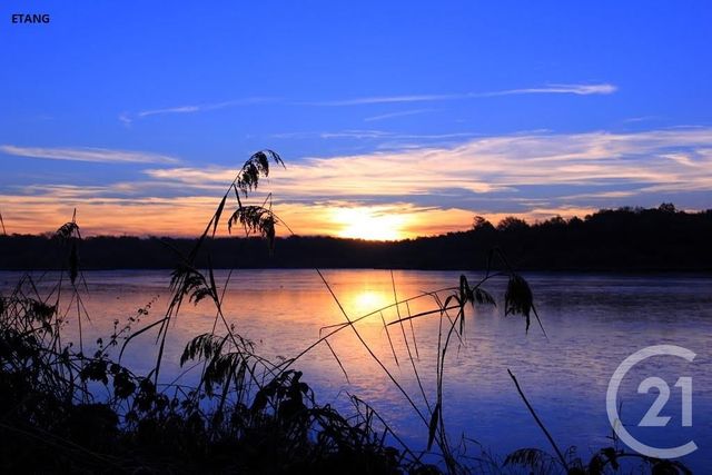 Terrain à vendre - 1545 m2 - St Viatre - 41 - CENTRE