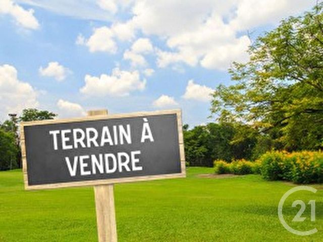 Terrain à vendre - 1545 m2 - St Viatre - 41 - CENTRE