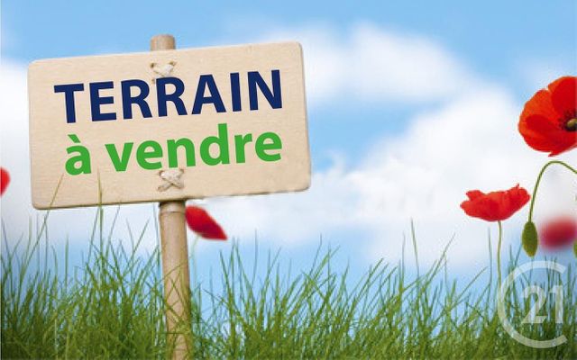 Terrain à vendre - 674 m2 - St Viatre - 41 - CENTRE