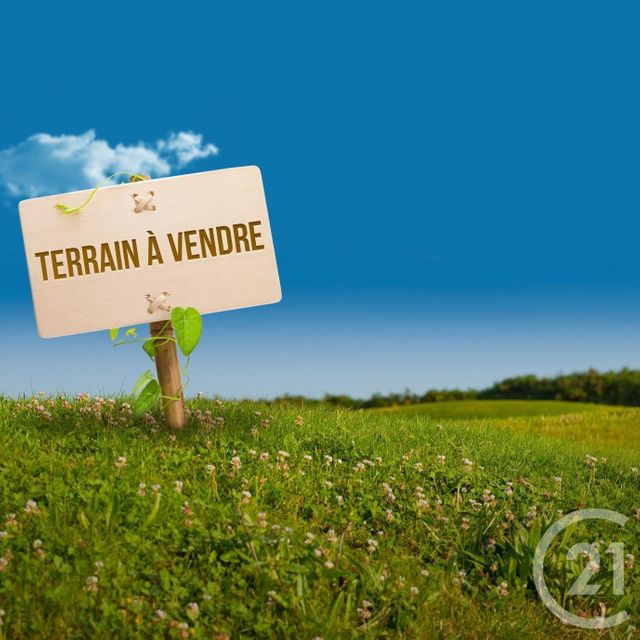 Terrain à vendre - 3684 m2 - St Viatre - 41 - CENTRE