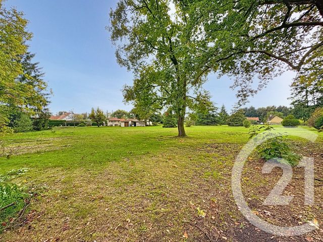 Afficher la photo en grand Maison à vendre - 4 pièces - 100,40 m2 - La Marolle En Sologne - 41 - CENTRE