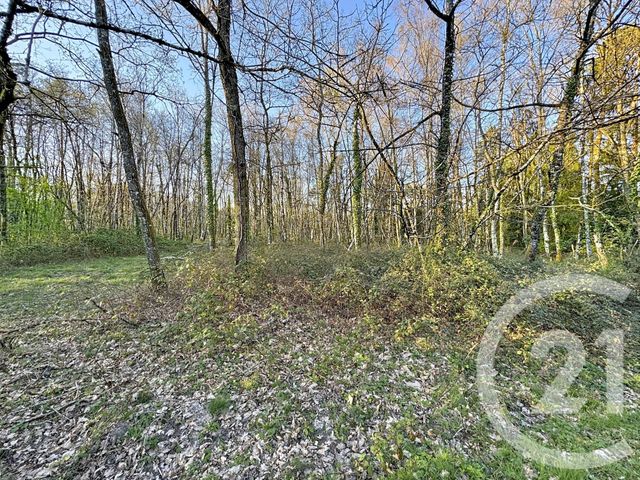 Maison &agrave; vendre - 7 pi&egrave;ces - 175 m2 - Yvoy Le Marron - 41 - CENTRE