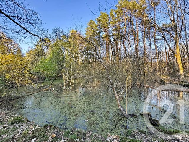 Maison &agrave; vendre - 7 pi&egrave;ces - 175 m2 - Yvoy Le Marron - 41 - CENTRE