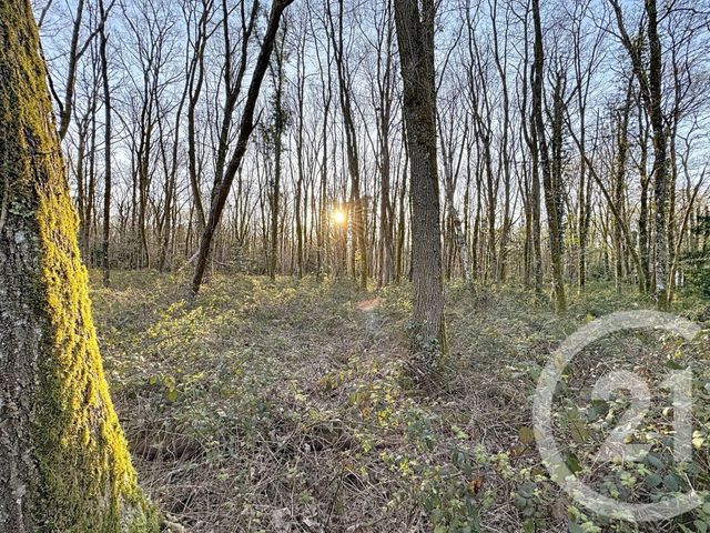 Maison &agrave; vendre - 7 pi&egrave;ces - 175 m2 - Yvoy Le Marron - 41 - CENTRE