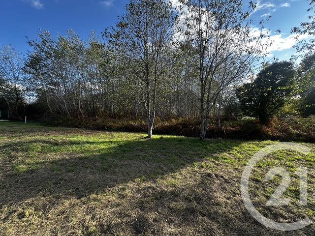 Terrain &agrave; vendre - 592 m2 - Nouan Le Fuzelier - 41 - CENTRE